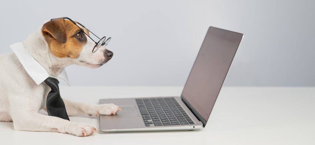 Vavoza Google Search Trends June 2, 2025