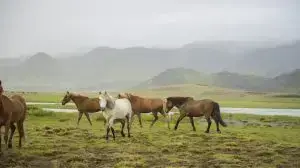 Vavoza Cleansing Your Feed Sep 12, 2025