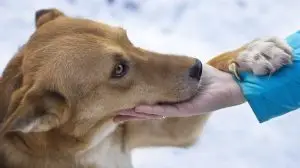 Vavoza Hopecore Trend Sep 9, 2025