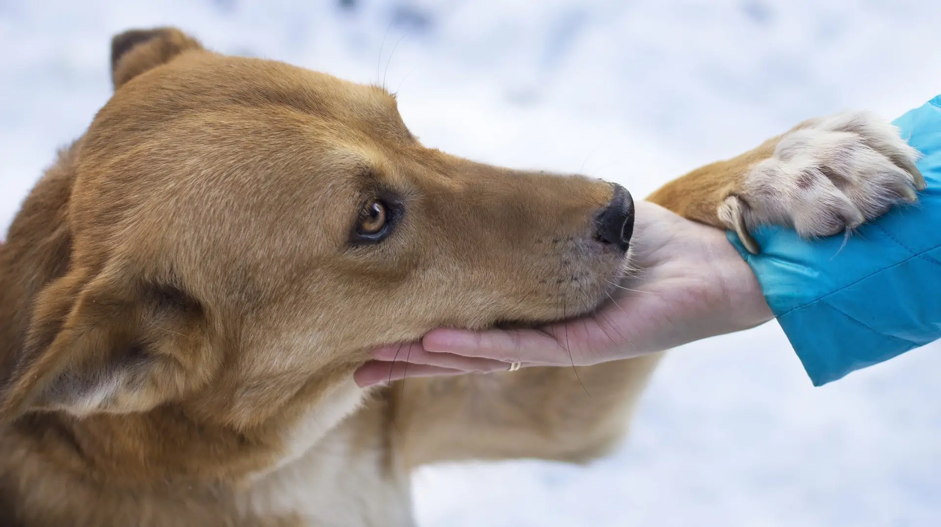 Vavoza Hopecore Trend Sep 9, 2025