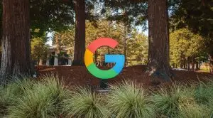 google calling businesses feature