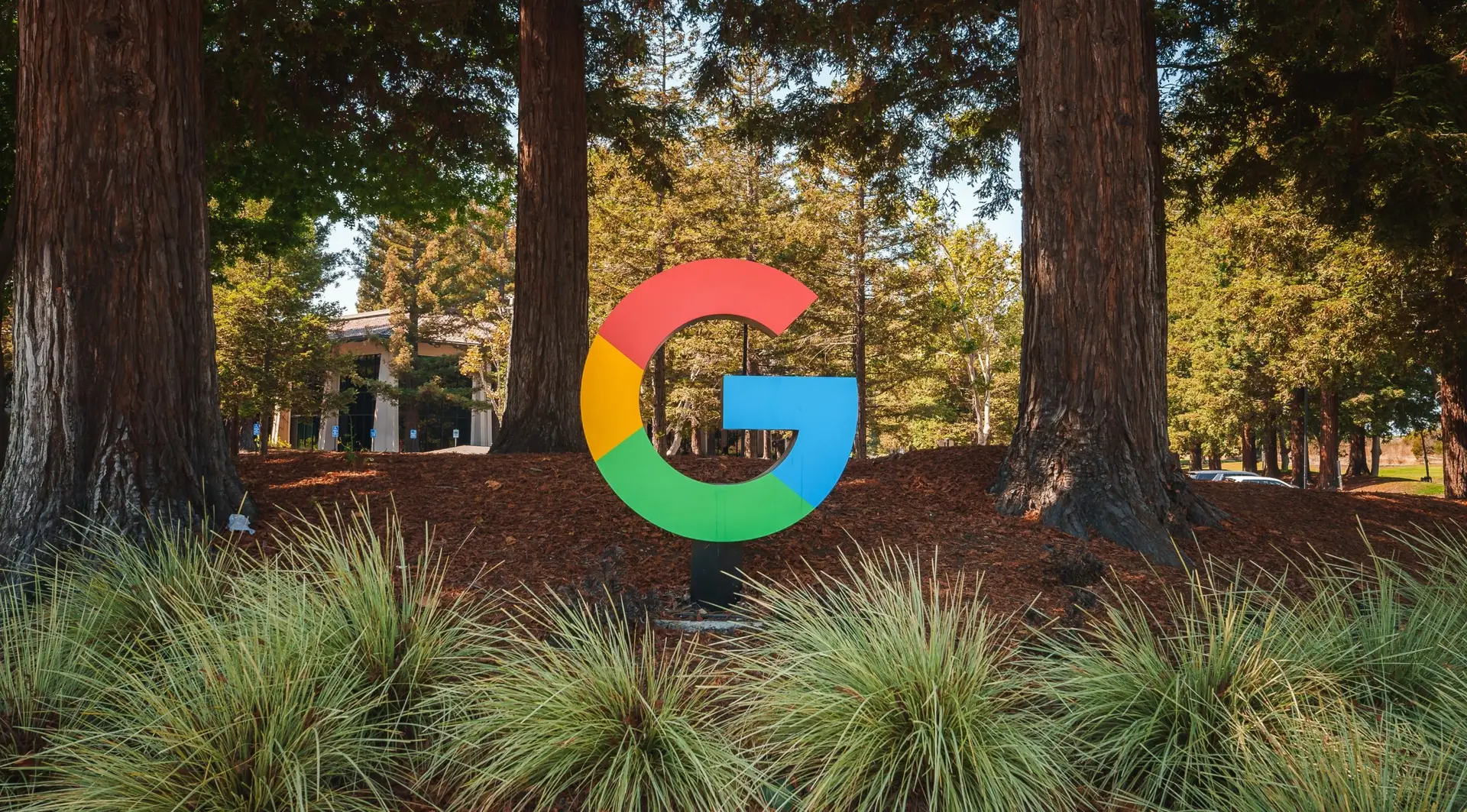 google calling businesses feature