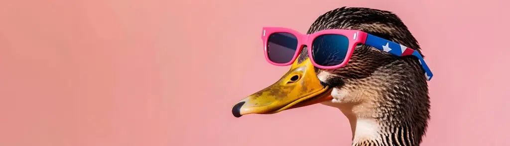 duck with sunglasses pondering about today's top tech news