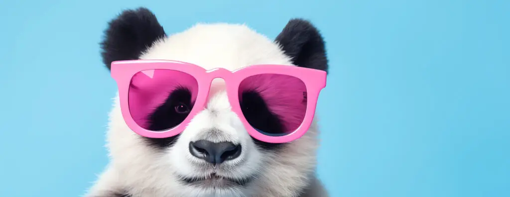 panda with sunglasses