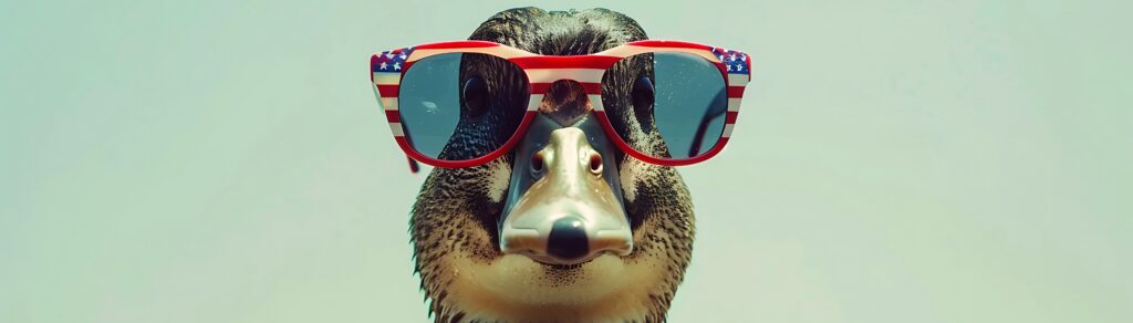duck with sunglasses