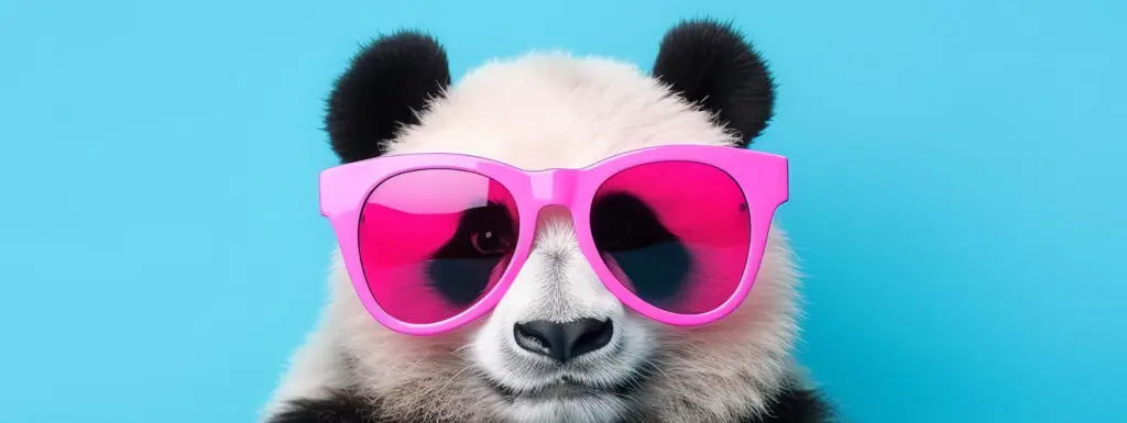 panda with sunglasses