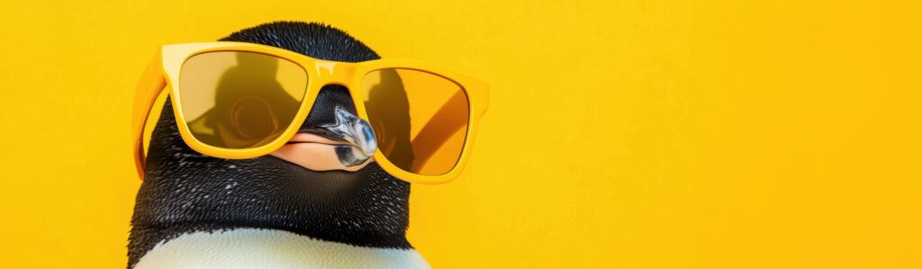penguin with sunglasses